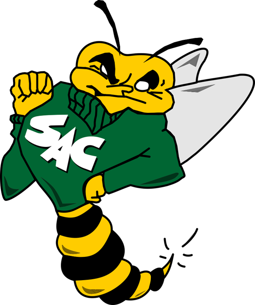 Sacramento State Hornets 1991-2003 Primary Logo diy iron on heat transfer